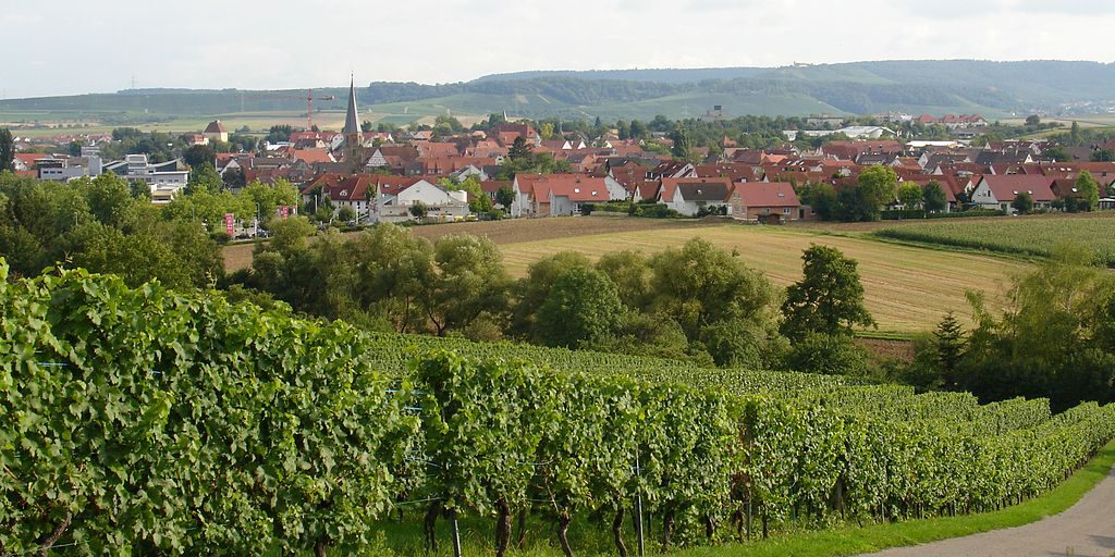 Bildquelle: https://commons.wikimedia.org/wiki/File:Brackenheim.jpg | Fotograf: Martin 2485