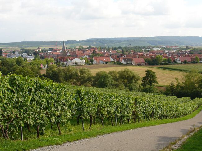 Bildquelle: https://commons.wikimedia.org/wiki/File:Brackenheim.jpg | Fotograf: Martin 2485