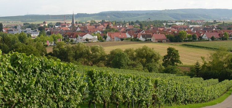 Brackenheim | Fotograf: Martin 2485 Bildquelle: https://commons.wikimedia.org/wiki/File:Brackenheim.jpg | Fotograf: Martin 2485