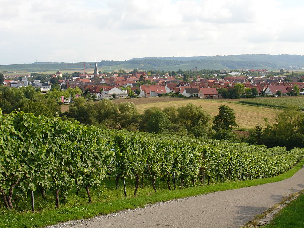 Bildquelle: https://commons.wikimedia.org/wiki/File:Brackenheim.jpg | Fotograf: Martin 2485