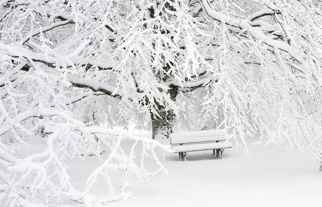 Schneelandschaft | Fotograf: MONTXODONOSTIA Quelle: https://pixabay.com/en/snow-mount-mountain-panoramic-1711697/ | Fotograf: MONTXODONOSTIA