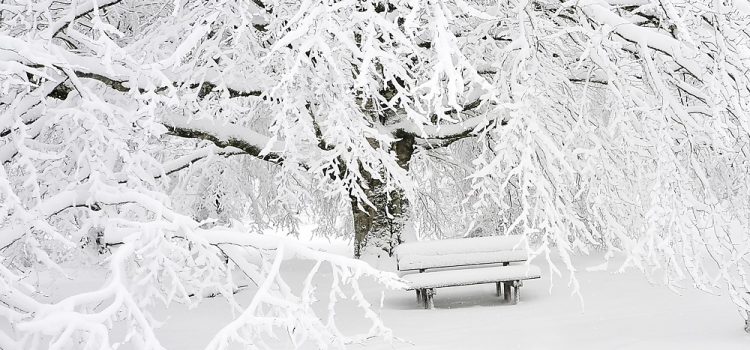 Schneelandschaft | Fotograf: MONTXODONOSTIA Quelle: https://pixabay.com/en/snow-mount-mountain-panoramic-1711697/ | Fotograf: MONTXODONOSTIA