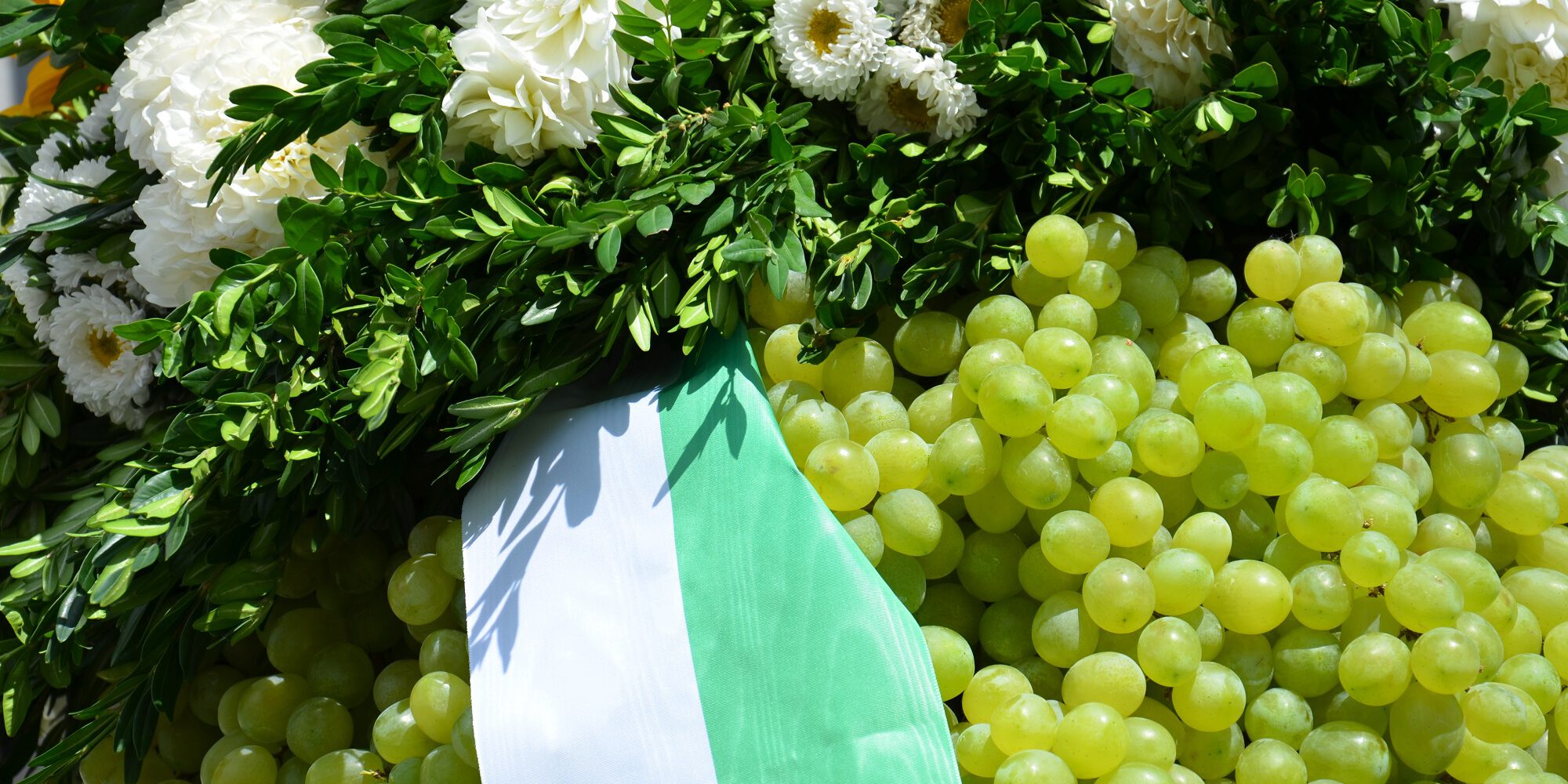 Wangener Kirbe – Kirbetrauben