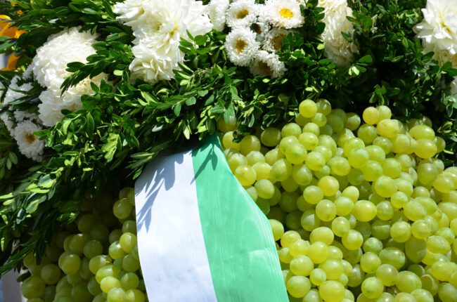 Wangener Kirbe – Kirbetrauben