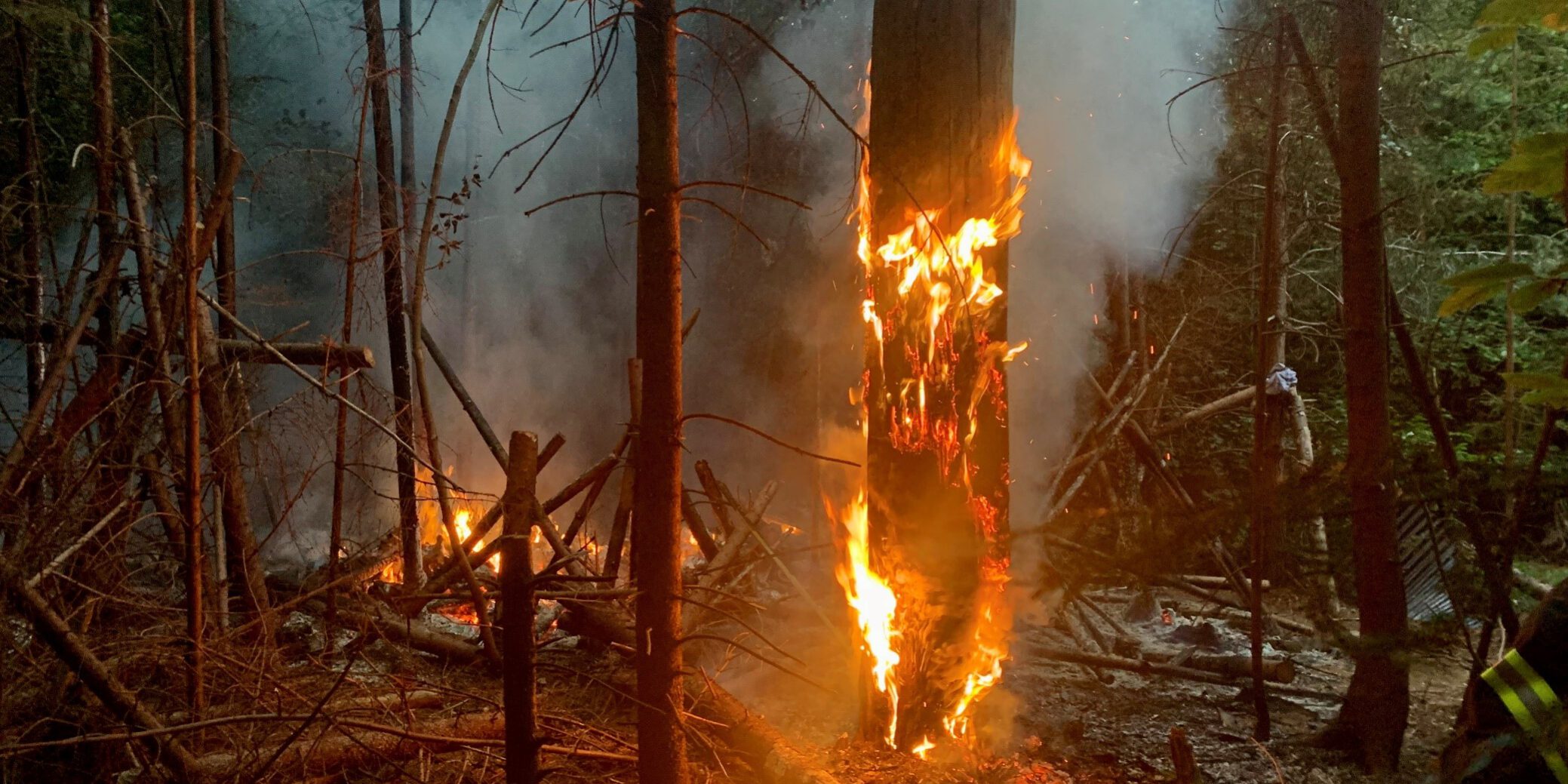 2022-06-17_Waldbrand_Stuttgart_Walbrand