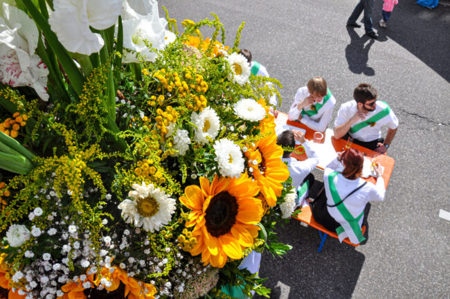 Wangener Kirbe – Trauben und Jahrgang